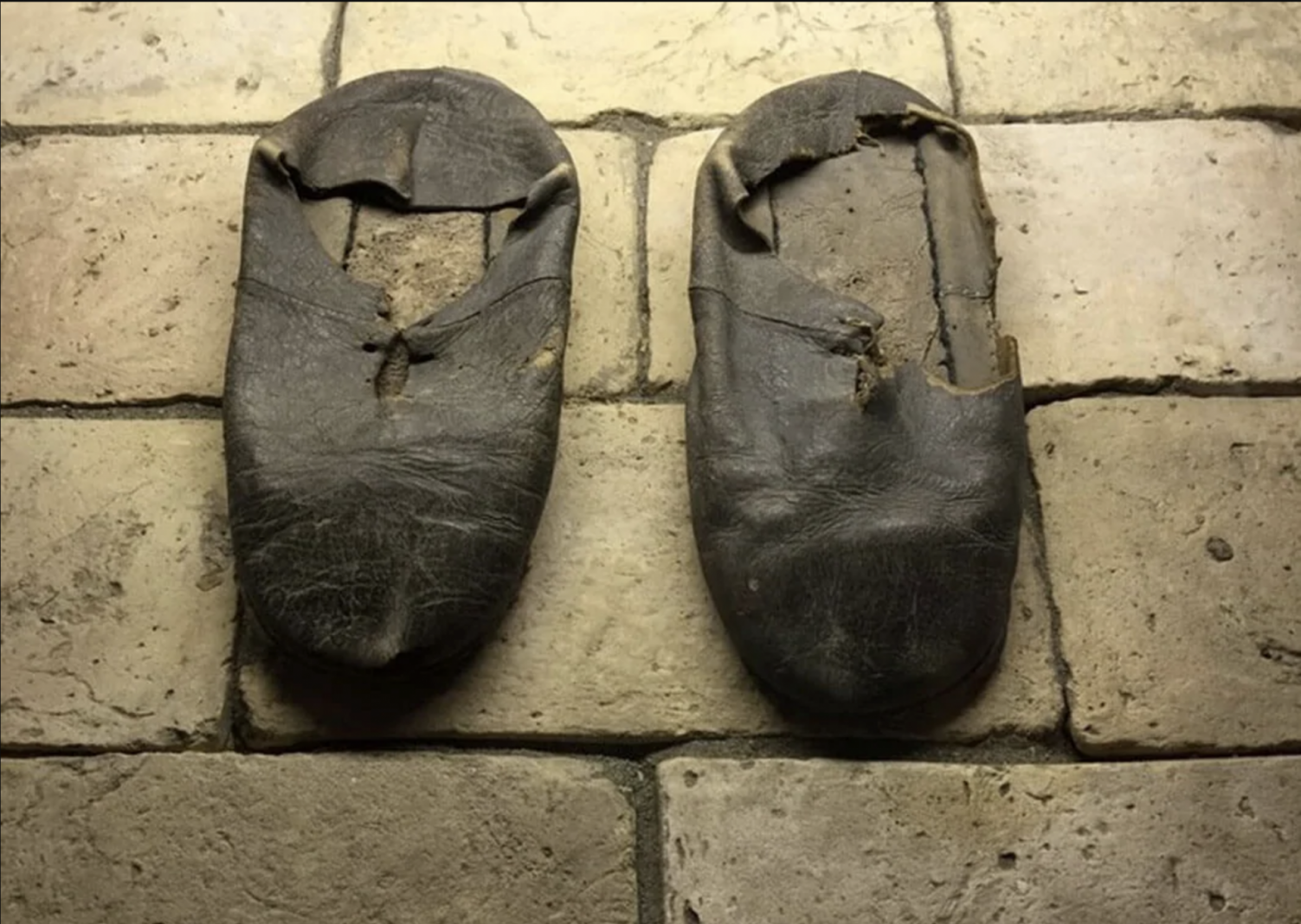 Jesuit Culture …… in the footsteps of Ignatius